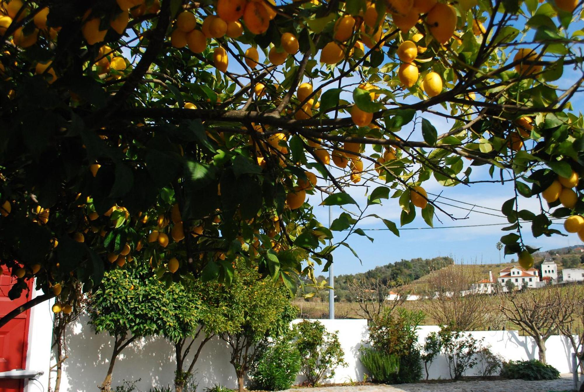 Casa Relogio De Sol Villa Lamego Exterior foto
